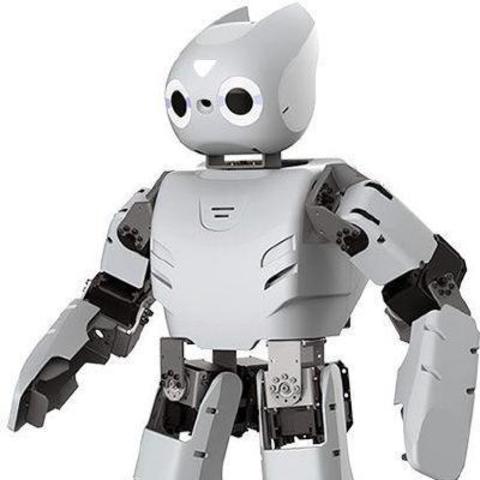 ROBOTIS DARwIn-OP2