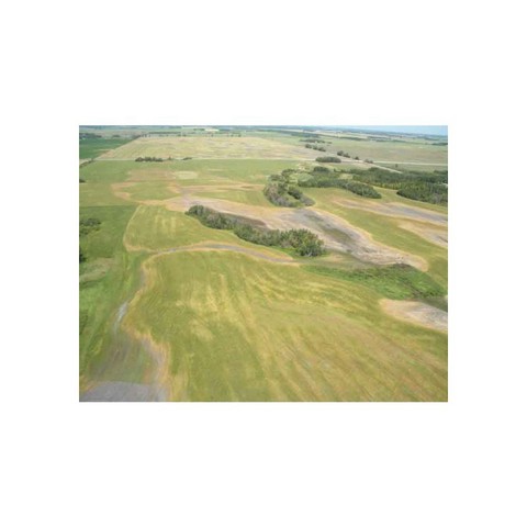 CropCam Unmanned Aerial Vehicle