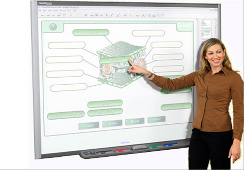 Интерактивная доска TRIUMPH BOARD 89 MULTI Touch