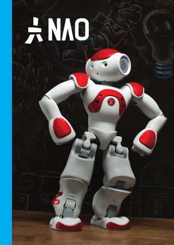 NAO H25 Evolution V5