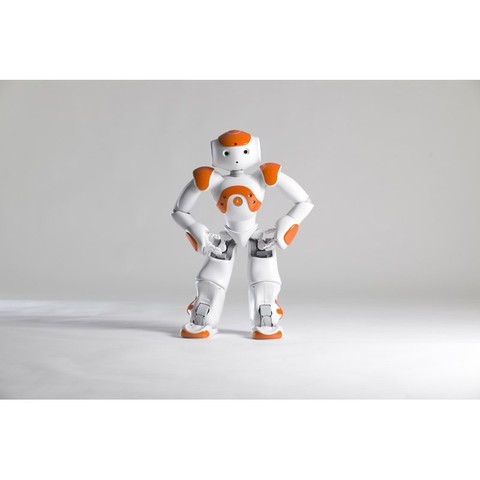 NAO H25 Evolution V5