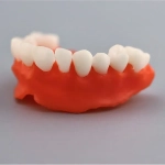 Фотополимерная смола Gorky Liquid Dental Base, розовая (1 кг)