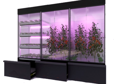 Лаборатория для зелени, овощей, малины Greenbar ПАК BIO_PRO_LABORATORI-31-365