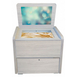 Сундучок психолога-дефектолога «Антошка» для ДОУ