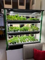 Гидропонные установки серии «Конструктор»