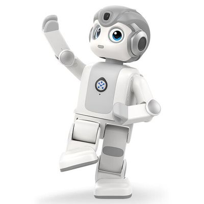 Программируемый гуманоидный робот Alpha mini от UBTech
