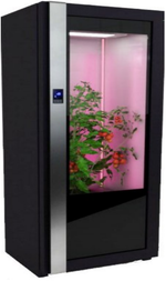 Лаборатория для овощей Greenbar ПАК LUX-TOM-PEPER-1