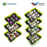 Природные богатства России с РобоМышью (4 робомыши, без системы хранения) Learning Resources MS0104