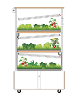 Гидропонные установки серии «Конструктор»
