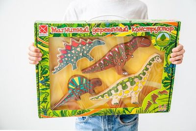 Деревянный магнитный конструктор Sebico 