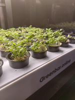 Ситиферма Greenbar- LUX4 ПАК для выращивания зелени и пряных травтрав