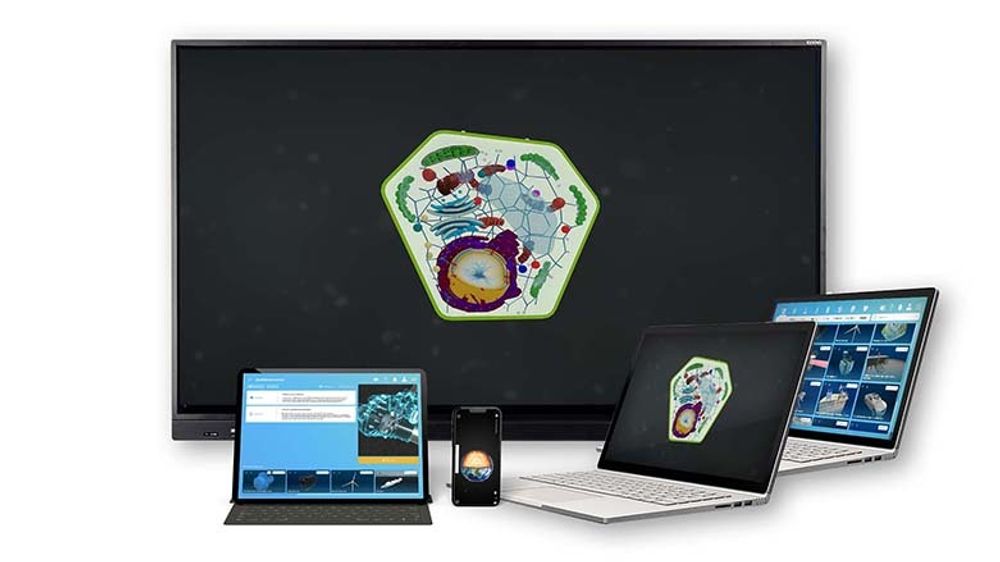 Интерактивное наглядное 3D пособие «Познание: Растения»