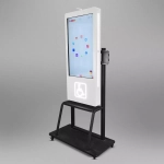 Интерактивная панель Aurora Premium 55" (с индукционной петлей и Kiosk Info)