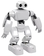 Программируемый человекоподобный робот ADAM, Полная комплектация