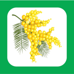 Карточки для автоматизации свистящих и шипящих звуков "Трудные звуки 2"