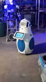 Робот-помощник FRossia