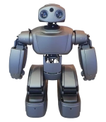 Программируемый человекоподобный робот ADAM, Полная комплектация