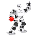 Набор для изучения систем управления робототехническими комплексами и андроидными роботами "Серёжа ИН Про". Полный комплект на Raspbery Pi