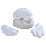 Анатомическая модель мозга, 3 детали, XC-304