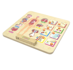 Панель "Изучаем организм" Masterkidz