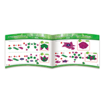 Набор "Конструируем геометрические фигуры"