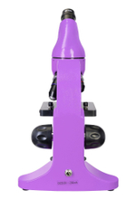 Микроскоп Levenhuk Rainbow 50L