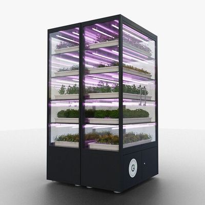 Промышленная ситиферма Greenbar PRO-5 ПАК для коммерческого выращивания зелени