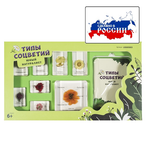 Коллекция "Типы соцветий"