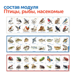 Природные богатства России (без робомыши, с системой хранения) Learning Resources MS0102