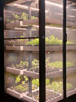 Промышленная ситиферма Greenbar PRO-5 ПАК для коммерческого выращивания зелени