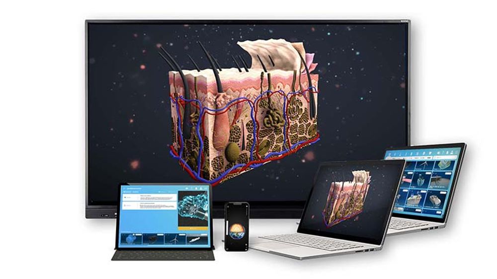 Интерактивное наглядное 3D пособие «Познание: Анатомия человека»