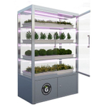 Ситиферма Greenbar- LUX4 ПАК для выращивания зелени и пряных травтрав