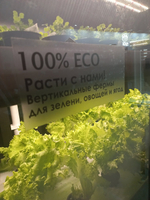 Промышленная ситифма Greenbar PRO-53 ПАК для выращивания зелени