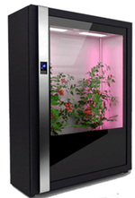 Лаборатория для овощей Greenbar ПАК LUX-TOM-PEPER-2