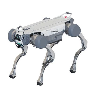 Бионический четырехопорный робот DeepRobotics X30