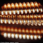 Микроскоп Levenhuk Rainbow 50L