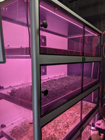 Витрина Greenbar MZ-4 ПАК для выращивания микрозелени