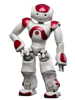 Человекоподобный робот NAO H25 Evolution V5