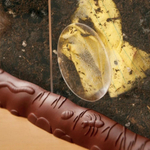 Модуль "Экология. Мусор как удобрение" Learning Resources MS50951