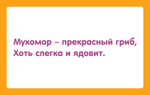 Карточки для запоминания стишков и сочинения рассказов "Стишата-малышата"