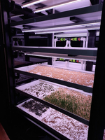 Цифровая ситиферма для выращивания микрозелени Greenbar ПАК MZ_PRO-16