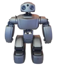 Программируемый человекоподобный робот ADAM, Облегченная комплектация