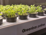 Ситиферма Greenbar LUX-5 ПАК для выращивания зелени, пряных трав