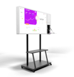 Интерактивная панель Storm S Premium 65" (с документ камерой)