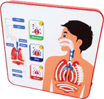 Свето-динамическая тактильная панель Познайкино «Дыхательная система»