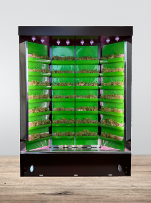 Вертикальная ферма 