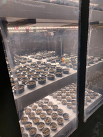 Промышленная ситифма Greenbar PRO-53 ПАК для выращивания зелени