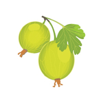 Карточки для знакомства с лексической темой Растения "Ботанический сад"