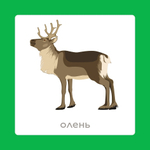 Карточки по грамматике: изменение слов по числам "Один-много"