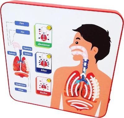 Свето-динамическая тактильная панель Познайкино «Дыхательная система»